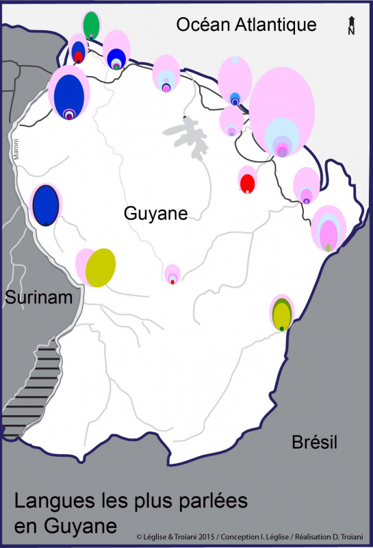 Carte 2 : Distribution des langues les plus parlées en chaque point du territoire 