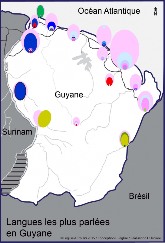 Carte 2 : Distribution des langues les plus parlées en chaque point du territoire