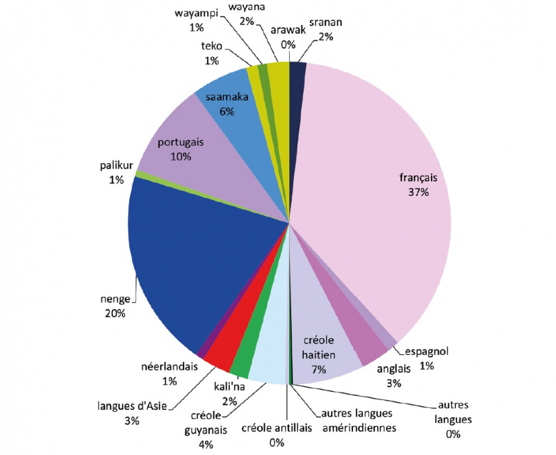 SCHÉMA 4 - Les langues de première socialisation des élèves en Guyane
