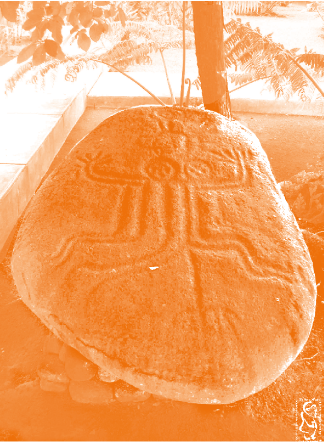 Photo : Pétroglyphe de Tipaerui, musée de Tahiti 