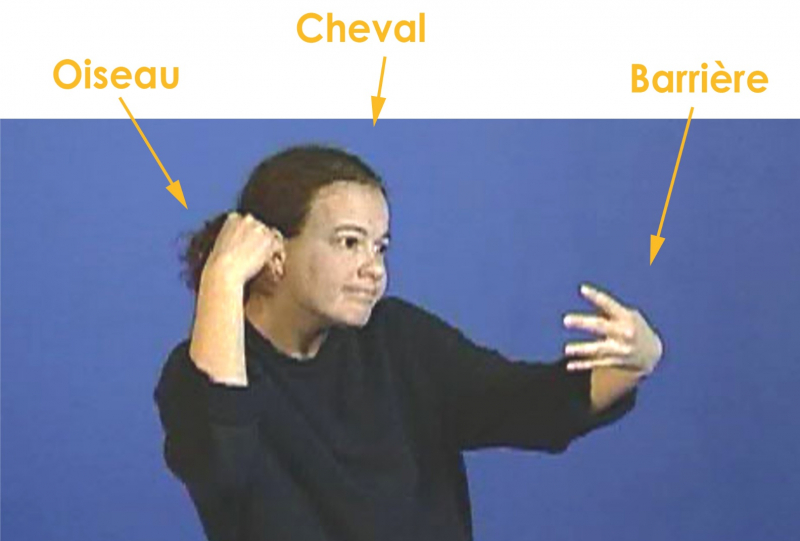 Figure 1 : Exploitation linguistique de la simultanéité d’informations en LSF : une unité minimale de réalisation équivaut à une phrase complexe en français (d’après Sallandre, 2003)