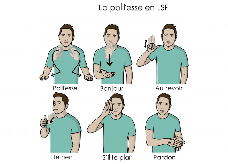 Ill. 2, Manuelde LS