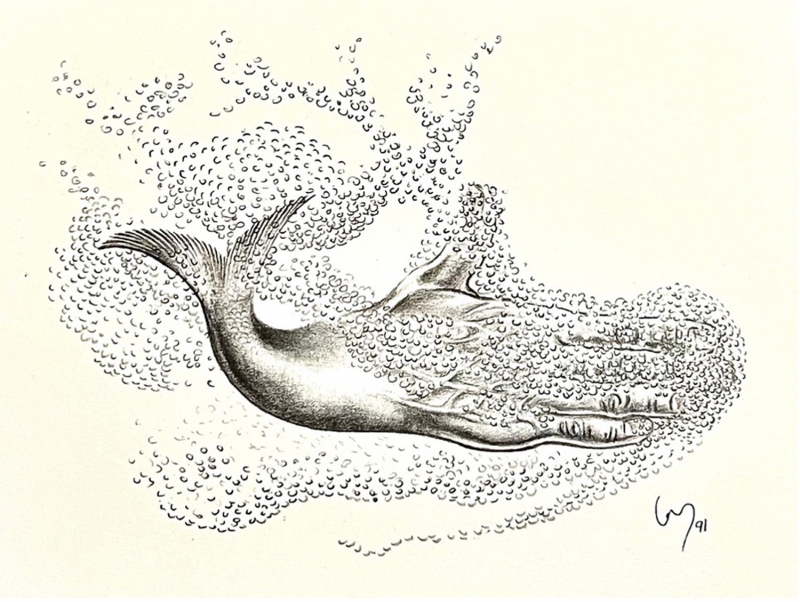 Figure 4. Dessin de Levent Beskardes Poissons (1991)